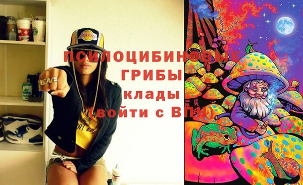 Альфа ПВП Арсеньев
