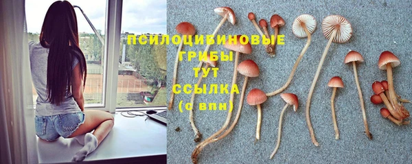первитин Армянск