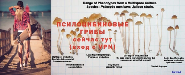 мефедрон Аркадак